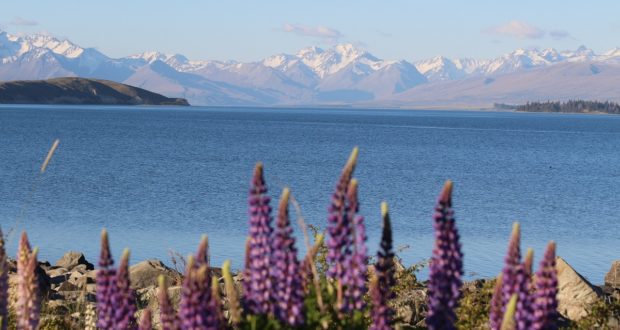 Lake Tekapo, Nuova Zelanda. Autore e Copyright Marco Ramerini