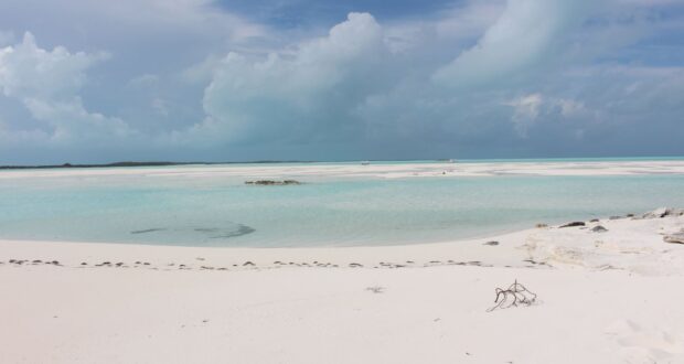 Banchi di sabbia, Sandy Cay, Exumas, Bahamas. Autore e Copyright Marco Ramerini.,