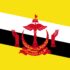 Bandiera del Brunei